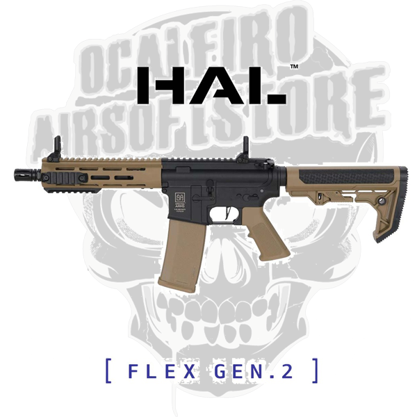 F14 1