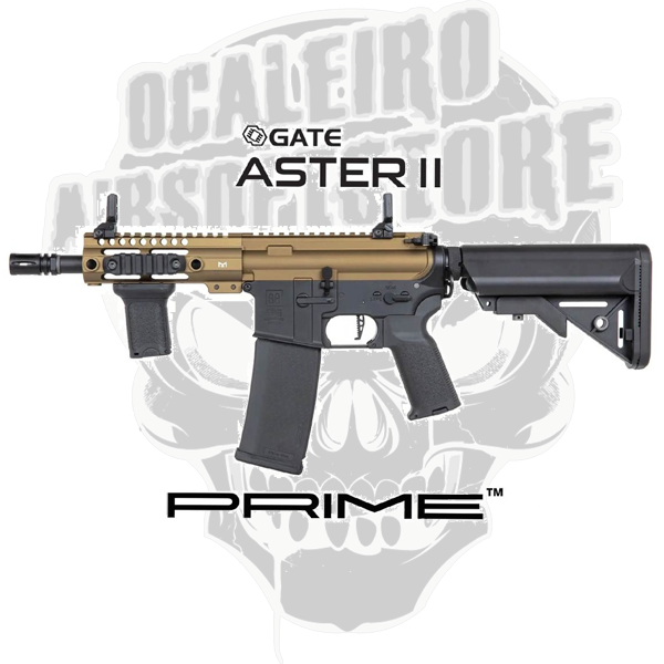 p21 bronze