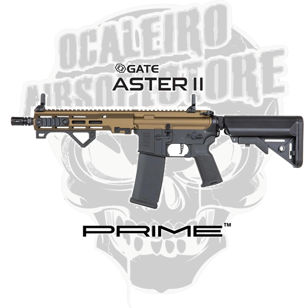 p23 bronze